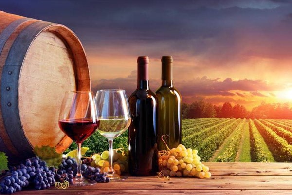 Wine & Food Tours - Italian Tours